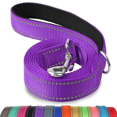 Image of Joytale Padded Handle Dog Lead,Double Sided Reflective Nylon Dogs Leads for Training,Walking Leash Small, Medium Dogs, 1.2m x 2cm, Purple