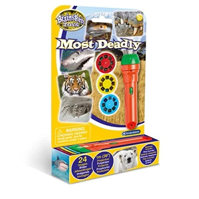 Image of Brainstorm Toys Most Deadly Torch and Projector