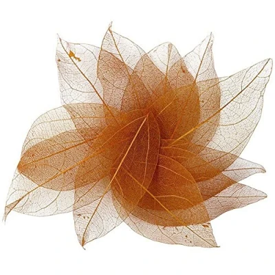 Image of 36pcs Natural Skeleton Leaf Dry Leaves Scrapbooking Diy Material Scrapbook Craft Card Wedding Large