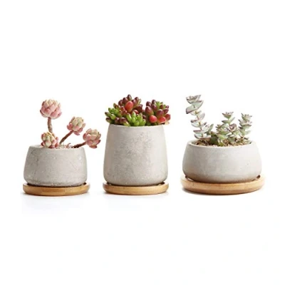 Image of T4U Cement Succulent Plant Pot with Wooden Saucer Set of 3, Grey Cactus Planter Small Bonsai Decorative Container for Home Office Wedding Birthday (No Plants)