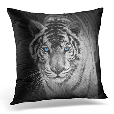 Image of Topyee Cushion Cover Black White Tiger Panther Animal Eye Snow Cat Big 45x45cm/18x18 Inch Home Decor Throw Pillow Square Pillowcase for Bed Sofa