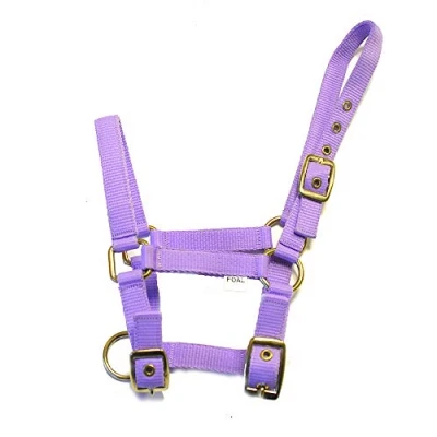 Image of Rhinegold Nylon Foal Headcollar Lilac