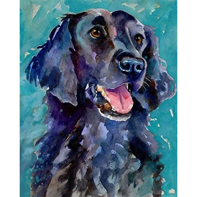 Image of WANGMAOMAO Paint by Numbers for Adults Children Flat Coated Retriever animal dog 16x20 Inch Linen Canvas Acrylic DIY Number Painting Kits Hand Painted Oil Wall Art Decor Gifts with frame