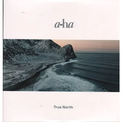 Image of A Ha True North Retail Exclusive Eco Mix vinyl Sealed 2022 UK 2 LP set 19439982291