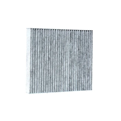 Image of 1315687, 1452344, 1494697, 1713180 Pollen Filter MAPCO 67606 Activated Carbon 240mm 209mm 34mm FORD: FOCUS 3, MONDEO 4, S Max Mk1