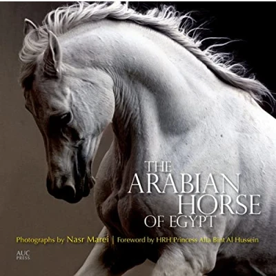 Image of The Arabian Horse of Egypt