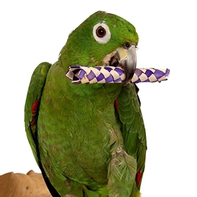 Image of Super Bird Woven Paper Sticks Foot Toys for Parrots Pack of 12