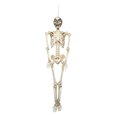 Image of Samuel ALEXANDER 5ft (150cm) Posable Full Body Halloween Skeleton Decoration with Animated LCD Eyes and Sound (1, White LED)