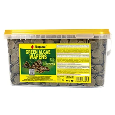 Image of GREEN ALGAE WAFERS 5L / 2,25kg fish food, kelp &amp; ketapang leaves food for bottom feeders, supports digestion immunity
