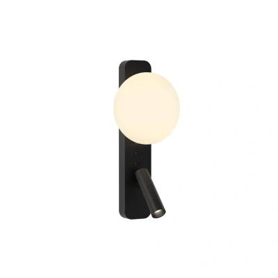 Image of Zeppo Reader Matt Black Reading Light Astro