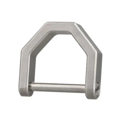 Image of DONGKER Titanium D Rings,TC4 Shaped Car Key Ring Fob Chain Holder for Home Keys