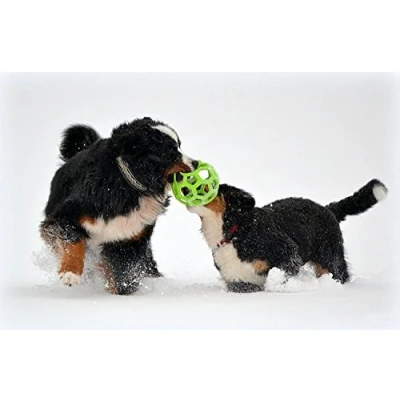 Image of JW Pet Hol ee Roller Rubber Dog Toy, size 8 Inches, Jumbo