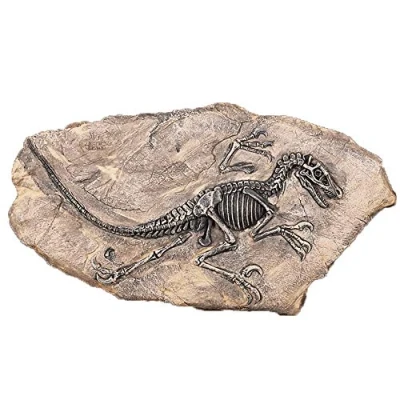 Image of VOANZO Resin Dinosaur Fossil Statue Model Simulated Skeleton Home Office Display Decorative Craft Decoration