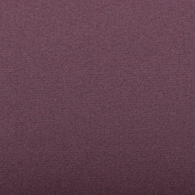 Image of Clairefontaine Ref 93510C Ingres Pastel Coloured Paper (Pack of 25 Sheets) 50 x 65cm, 130gsm Drawing Paper, Deep Purple Suitable for All Dry Techniques