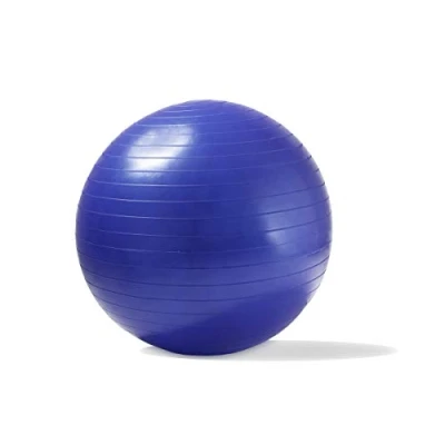Image of ADEPTNA Anti Burst Gym Ball 55cm Exercise Yoga Swiss core Fitness strength training, stretching, toning, resistance With Hand pump included (BLUE)