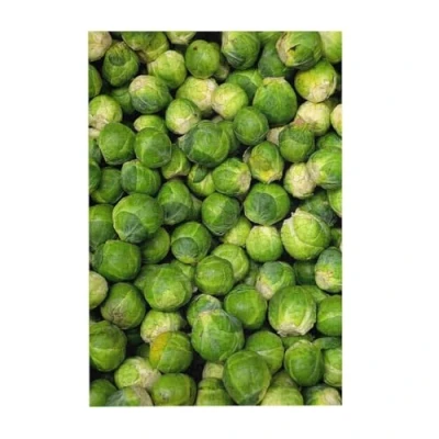 Image of Puzzles, Wooden Jigsaw Puzzles Adults Unzip Puzzle 300 pcs Picture puzzle, Green Brussel Sprout Print