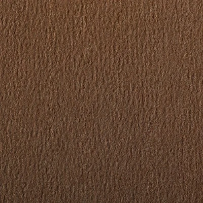 Image of Clairefontaine Ref 90865C Etival Coloured Grained Drawing Paper (Pack of 5 Sheets) A4 (29.7 x 21cm) 160gsm Cellulose Art Brown Acid Free, pH Neutral