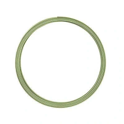 Image of Vaessen Creative Aluminium flat wire 5x1mm 5m apple green,