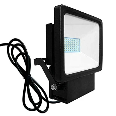 Image of Eterna 30W Polycarbonate LED Floodlight