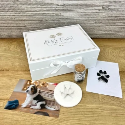 Image of Complete Puppy/Kitten Keepsake Kit All My Firsts Memory Box, Clay, Glass Fur Bottle, Ink Pad Capture Paw Prints &amp; Precious Moments W22cm x L17cm H8cm
