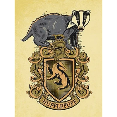 Image of Pyramid International HARRY POTTER Canvas Print Always 60cm x 80cm Official Merchandise