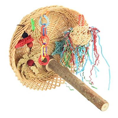 Image of Parrot Essentials Busy Birdie Perch and Bird playground, Colorful Toy Activity, Encourages Mental, Physical Exercise. Non toxic Toys For Budgie, Cockatiels, Lovebirds, Perches