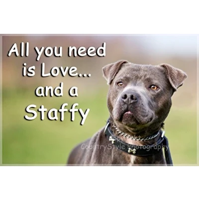 Image of Staffordshire Bull Terrier Staffy Fridge Magnet All you need is Love and a Gift