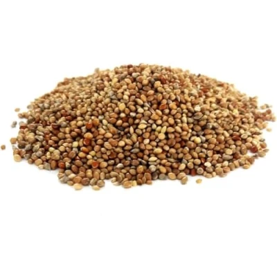 Image of *NEW* 750g MIXED MILLETS FINCH SEED CAGE BIRD FOOD MDJ