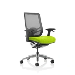 Image of Ergo Click Bespoke Fabric Seat Myrrh Green Black Mesh Back