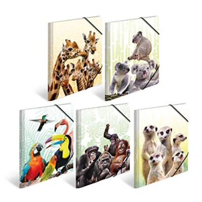 Image of HERMA 19965 A3 Exotic Animals Assortment, Pack of 10, Children&#039;s Plastic Corner Folder with Inner Print and Elastic Band, Sturdy Folders Set for Boys Girls