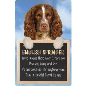 Image of Faithful Friends ENGLISH SPRINGER SPANIEL 3D SIGN
