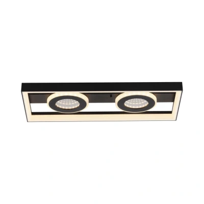 Image of Paul Neuhaus LED ceiling lamp Traforo, 45 cm, CCT, dimmable