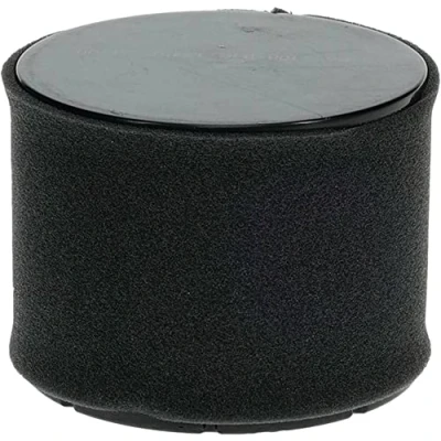 Image of Stens 100 018 Kawasaki 11029 0019 Air Filter Combo