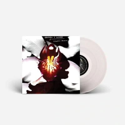 Image of CELLOPHANE MEMORIES [VINYL]