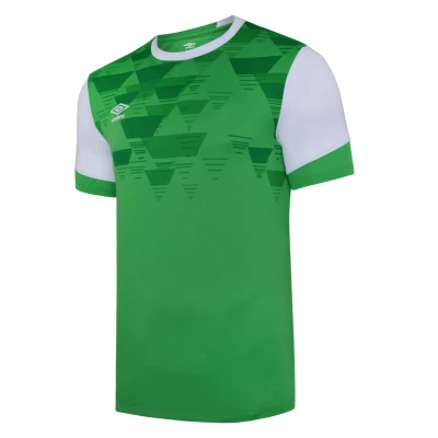 Image of Umbro Childrens Unisex Childrens/Kids Vier Jersey (Emerald/White) Multicolour Size 9 10Y