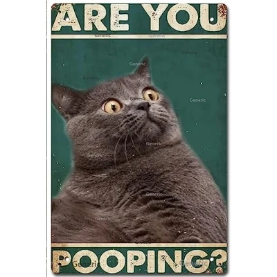 Image of Viewkedt Are You Pooping Cat Quotes Farmhouse Toilet 6x8 in Tin Sign Home Decor Art Metal Signs Wall Poster