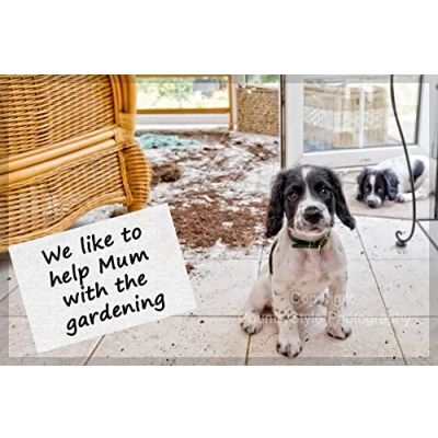 Image of Sprocker Spaniel Puppy Dog Funny Fridge Magnet Gift