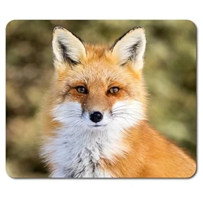 Image of Destination Vinyl ltd Beautiful Ginger Fox Mouse Mat Pad Wild Animal Cub Mum PC Computer #8323