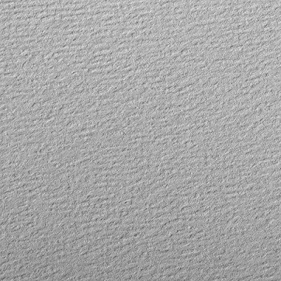 Image of Clairefontaine Ref 93867C Etival Coloured Grained Drawing Paper (Pack of 25 Sheets) A4 (29.7 x 21cm) 160gsm Cellulose Art Grey Acid Free, pH Neutral