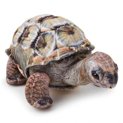 Image of Zappi Co Children&#039;s Realistic Soft Cuddly Plush Toy Animal Perfect Playtime Companions for Children with Lifelike Detail featured Tiktok (26cm Length) (Aldabra Tortoise)