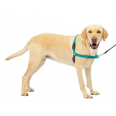 Image of PetSafe Easy Walk No Pull Dog Harness The Ultimate to Help Stop Pulling Take Control &amp; Teach Better Leash Manners Helps Prevent Pets on Walks Small/Medium, Charcoal/Black