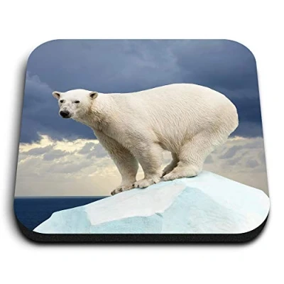 Image of 1 x Square MDF Fridge Magnet Polar Bear Ice Animals Wild 8586