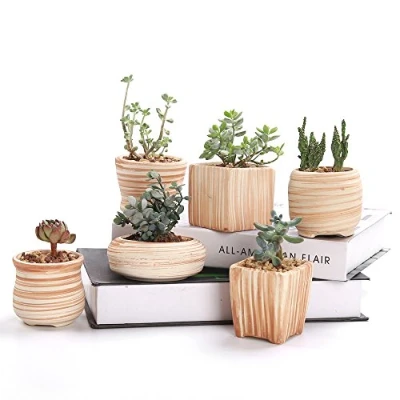Image of SUN E 6 In Set 7.6 cm Ceramic Wooden Pattern Succulent Plant Pot Cactus Flower Container Planter Gift Idea