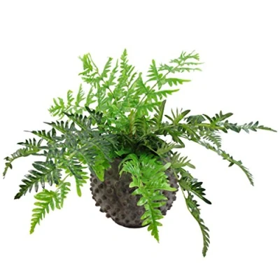 Image of Leaf Large Artificial Plant with Pot, Mixed Materials, Fronded Fern, 50cm
