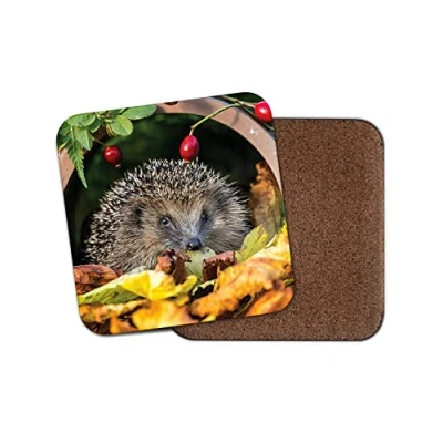 Image of 1 x Adorable Hedgehog Coaster Garden Animal Mum Auntie Wildlife #13045