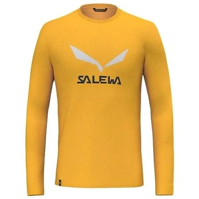 Image of Salewa Solidlogo Dry Long Sleeve Tee Men, Gold, 52/XL, Male