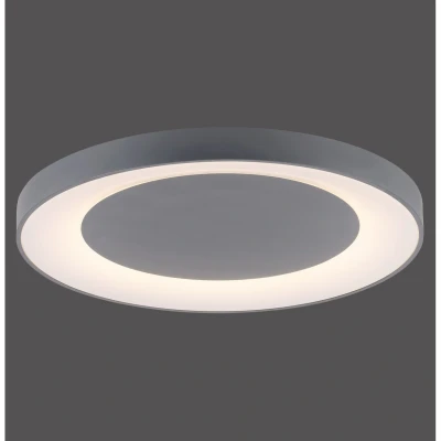Image of Anika Flush Ceiling Light Grey 1x 54W LED 2700 5000K Dimmable