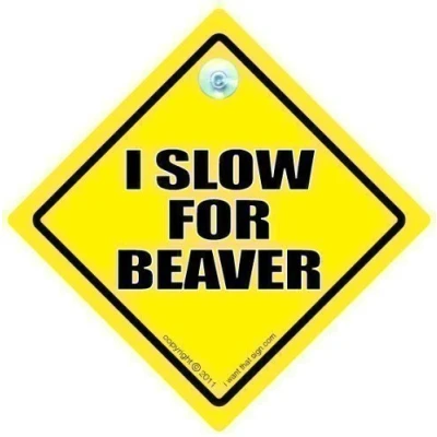 Image of I Slow For Beaver, Beaver Car Sign, Rude Funny Decal, Baby On Board, Road Bumper Sticker, Board Joke Novelty Driving Sign