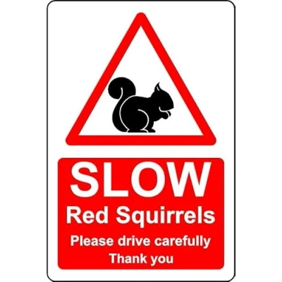Image of Slow red squirrels please drive carefully safety sign Self adhesive sticker (200mm x 150mm)