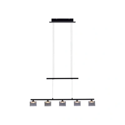 Image of Paul Neuhaus Hydra LED pendant light, black, glass, 80 cm
